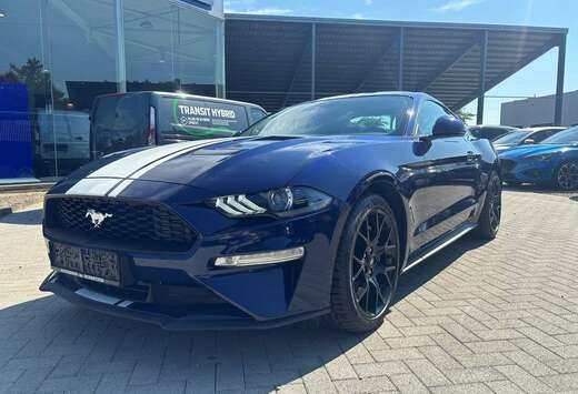 Ford 2.3 Ecoboost Fastback+leder+navi+camera+klimaatz ...