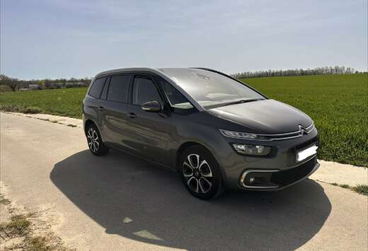 Citroen 1.5 BlueHDi Rip Curl S&S (EU6.2)