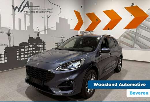 Ford ST-Line X - Directiewagen