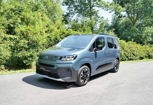 Fiat L1 100kW/136PK, 344km/470km