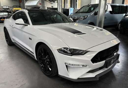 Ford 5.0 V8 FIFTY FIVE YEARS