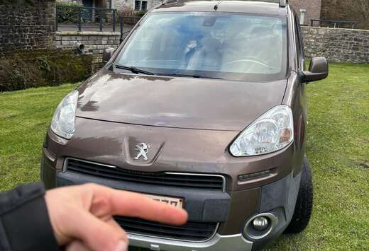 Peugeot 2.0 HDi