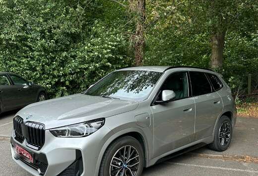 BMW X1 xDrive25e Aut. M Sportpaket