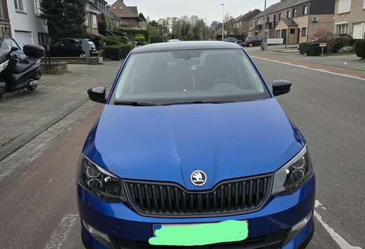 Skoda Combi 1.2 TSI 90 ch Greentec Série Spéciale E ...