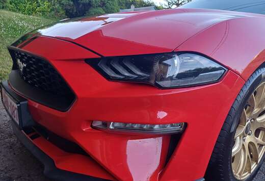 Ford Mustang 2.3 EcoBoost (EU6.2)