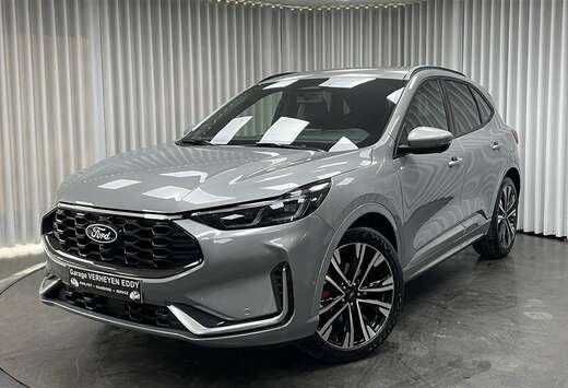 Ford 2.5i FHEV / ST-Line X / Aut. / ACC / 20\