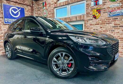Ford Kuga 2.0 EcoBlue 150cv ST-LINE X