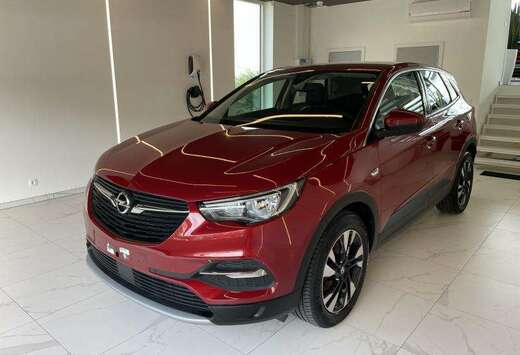 Opel X