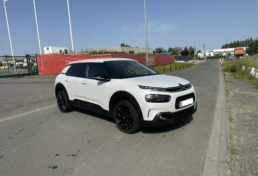 Citroen C4 Cactus 1.2 PureTech Shine  Pano  CarPlay E ...