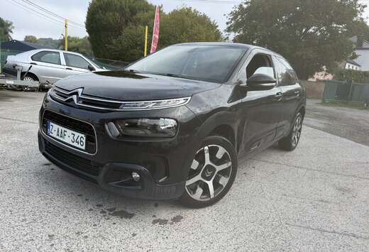 Citroen C4 Cactus 1.2 PureTech Business GPS (EU6.2)(F ...