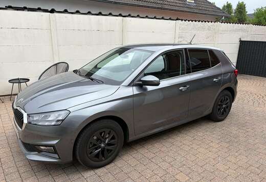 Skoda Fabia 1.0 TSI Family DSG