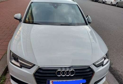 Audi 2.0 TDI Quattro