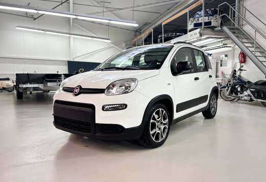 Fiat Panda 1.0i Hybrid City Life 5pl.