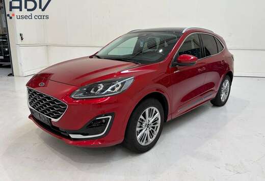 Ford Vignale uitvoering - Pano schuifdak - Full Optio ...