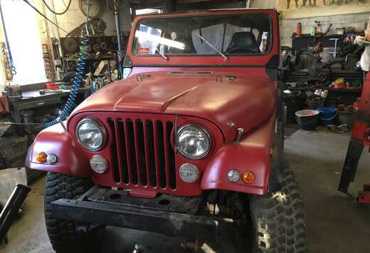 Jeep moteur v8 304 amc