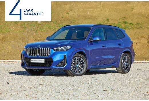 BMW X1 xDrive25e
