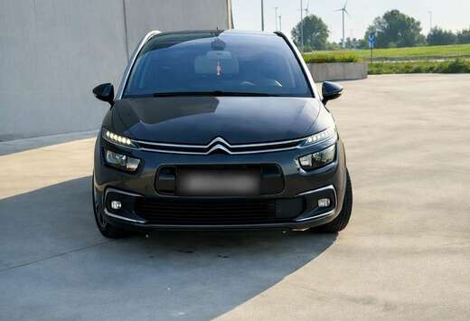 Citroen CitroënGrandC4Picasso2.0BlueHDi150pk 2019