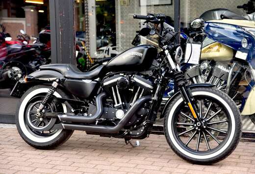 ***MOTO VERTE***