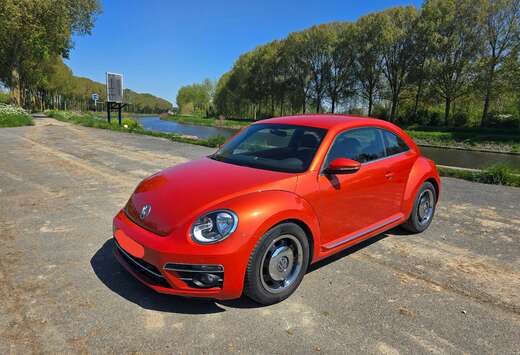 Volkswagen Beetle 1.2 TSI Design // Carnet Complet // ...