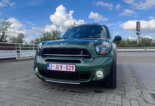 MINI 2.0 D S
