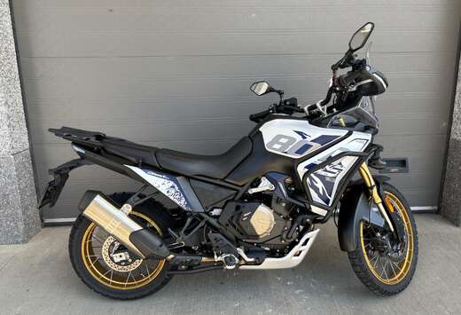 DS800X RALLY