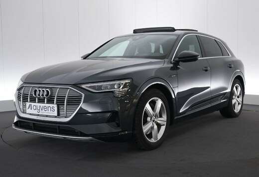 Audi 95 kWh 55 Quattro Advanced LEDER/CUIR LED GPS PD ...