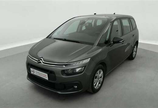 Citroen 1.5 BlueHDi 130Cv EAT8 Feel 7PL / NAVI / CARP ...