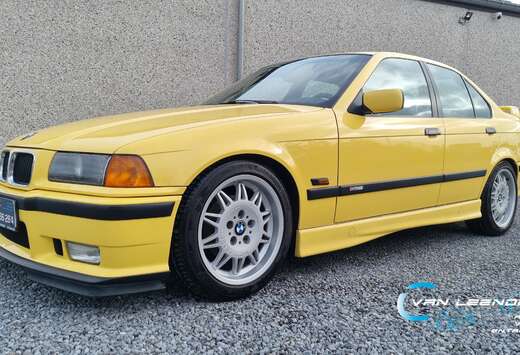 BMW IS PROCAR  LIMITED EDITION 2500ex.  COLLECTOR