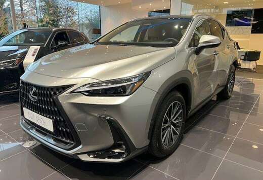 Lexus Executive Line