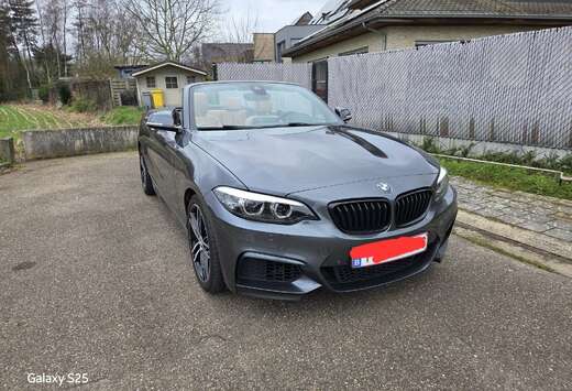 BMW Cabrio 218i OPF