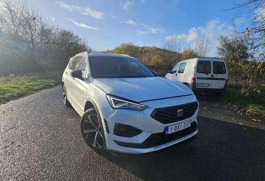 SEAT 2.0 CR TDi FR (EU6AP)