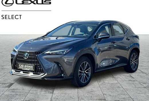 Lexus Business Line