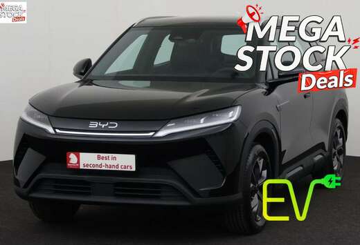 BYD ACTIVE 45 kWh + A/T + CARPLAY + CAMERA + CRUISE +