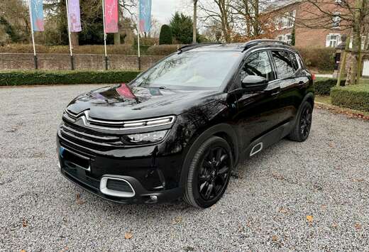 Citroen 1.6 Hybride 225pk Blackline LED Camera Euro6b