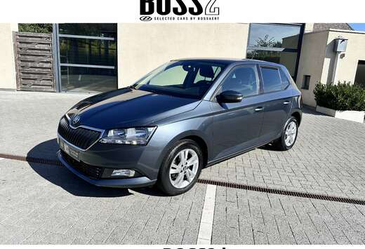 Skoda 1.0 TSI -