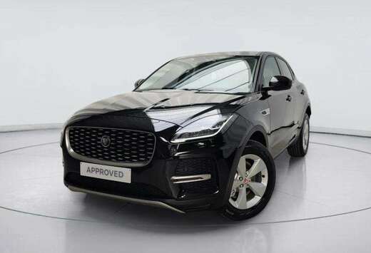 Jaguar D165 AWD Auto S