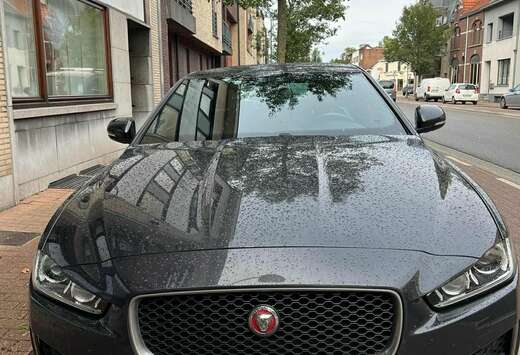 Jaguar XE E-Performance Aut. R-Sport