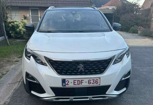 Peugeot 5008 GT line leder panodak