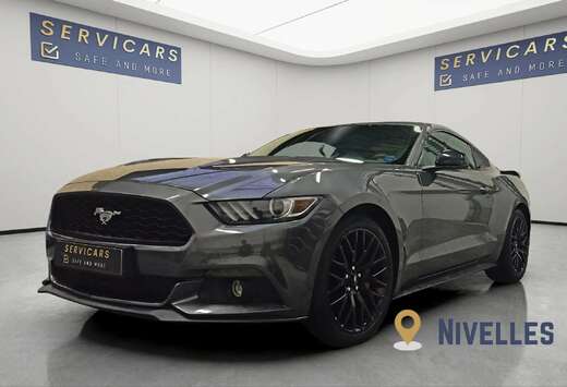 Ford 2.3 EcoBoost - SERVICARS Nivelles