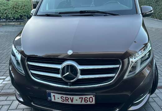 Mercedes-Benz (BlueTEC) Lichte vracht   7G-avantgarde ...
