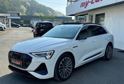 Audi E-TRON 55 ÉLECTRIQUE PANO GPS CUIR LED FULL