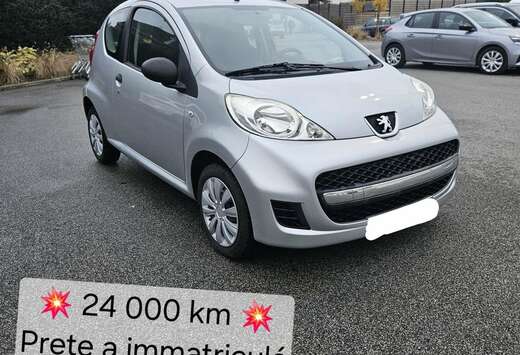 Peugeot Prete a immatricule