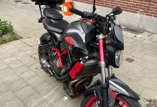 moto cage