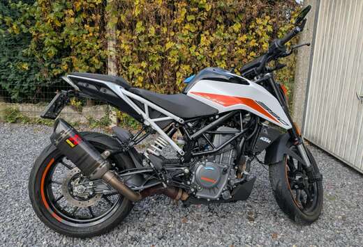Quickshifter + Akrapovic