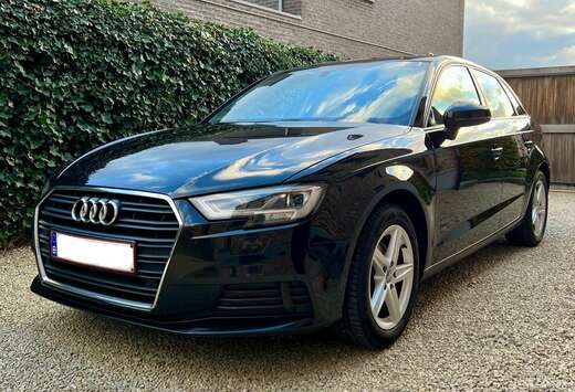 Audi A3 Sportback Business Edition 30 TDI S tronic