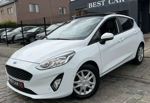 Ford 1.5TDCi * PanoDak