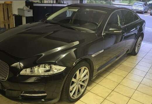 Jaguar XJ 3.0D V6 Luxury panodak