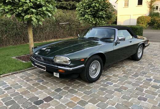Jaguar