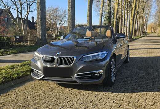 BMW Cabrio 218iA OPF Luxury Line
