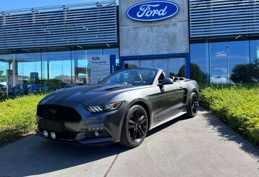 Ford Cabrio 2.3 EcoBoost Automaat  Shaker  47.985 km